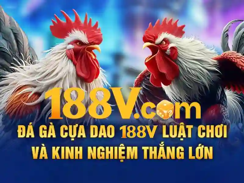 188v có lừa đảo không – Sản phẩm và dịch vụ cốt lõi