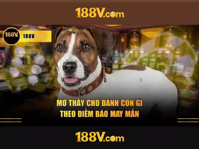 review 188v: Đánh giá và trải nghiệm người dùng