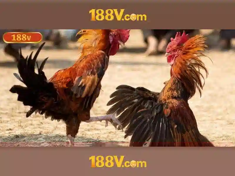 188v: một hành trình sáng tạo và công nghệ