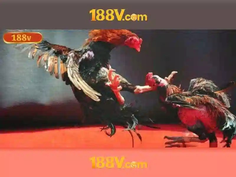 Nguồn gốc của 188v\n<h>Đặc điểm của 188v</h>\n<li style=