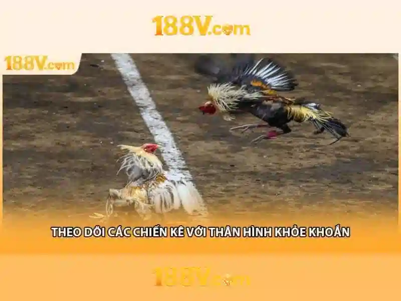 188v - một khái niệm và hành trình của số 188v