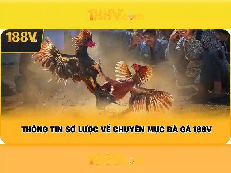 188v nhà cái – Tổng quan chủ đề và Giá trị cốt lõi