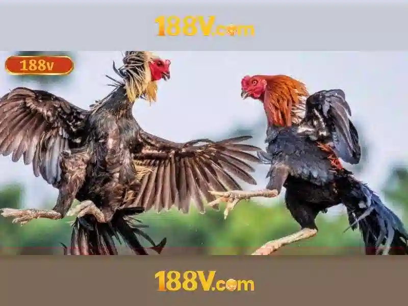188v: một ký ức số và nhịp thở của dữ liệu
