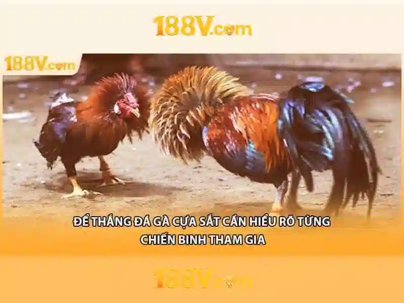 Nguồn gốc và đặc tính của 188 V