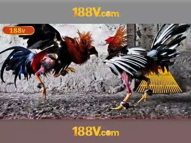 Khám phá 188v và ý nghĩa của nó trong thế giới hiện đại