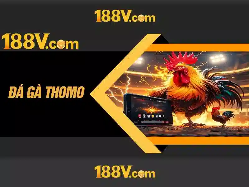 188v và hành trình giữa điện và ký ức