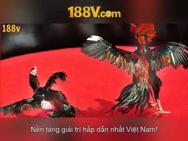 188V: Năng lượng và ý nghĩa của một khái niệm hiện đại