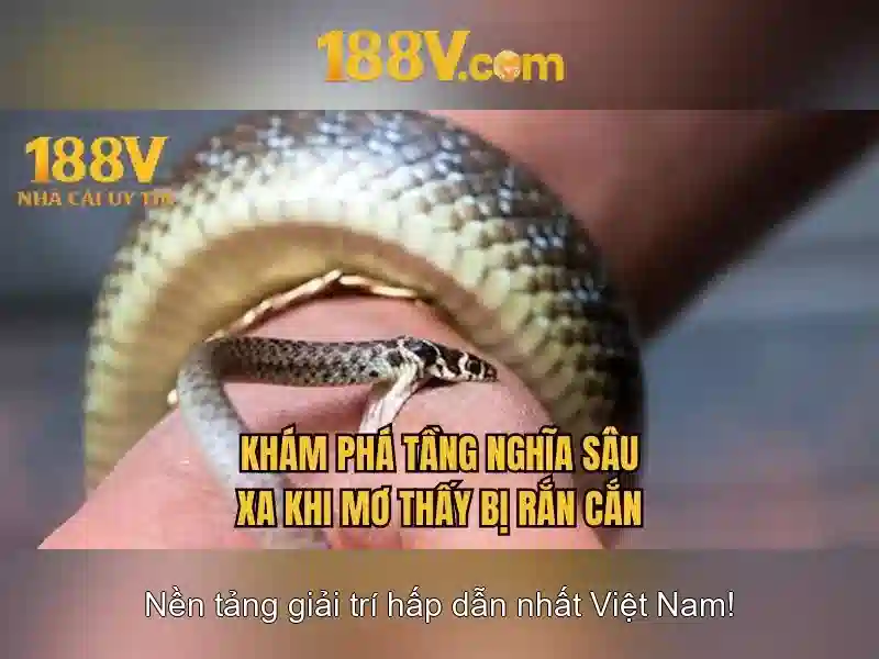 188V: một thế giới ảo đầy huyền diệu