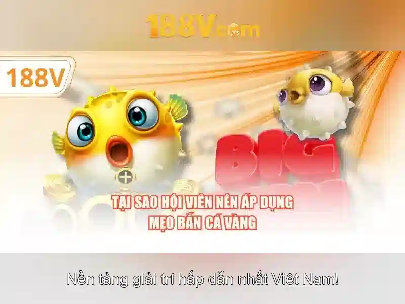 Khái niệm và ảnh hưởng của 188v