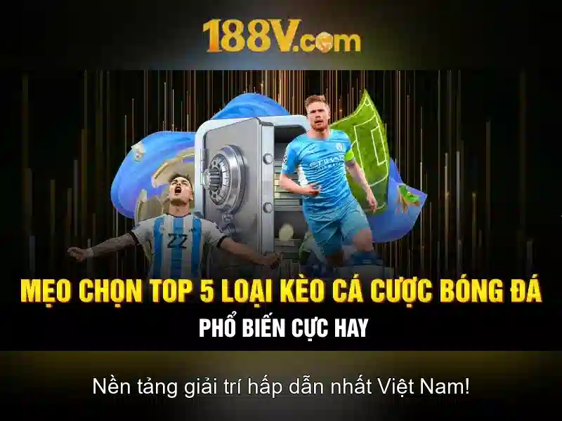 Ứng dụng và tương thích\n<h>Khía cạnh quản lý và bảo trì</h>\n<li style=