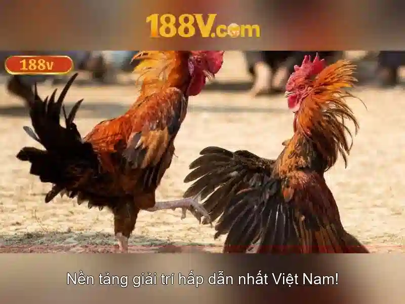 Tính chất và ý nghĩa