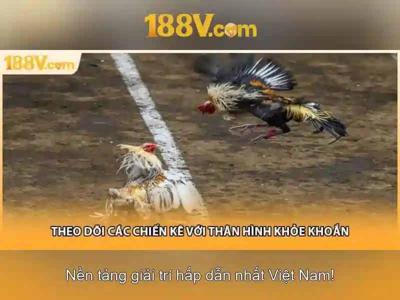 188v là gì và tầm quan trọng của nó