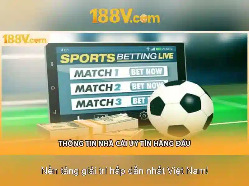 Kết luận