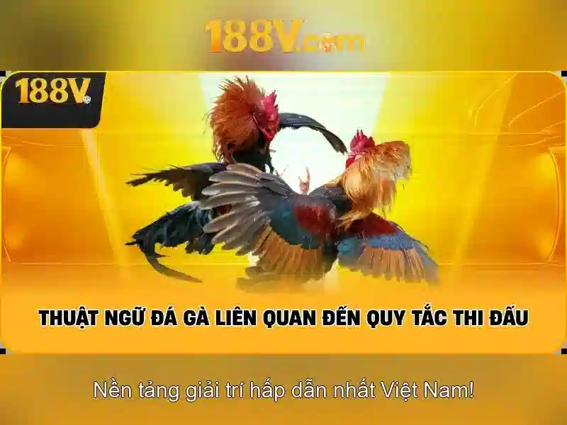 Khám phá 188v: một hành trình giữa công nghệ và nhận thức