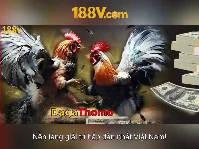 Kết luận và nhìn về tương lai