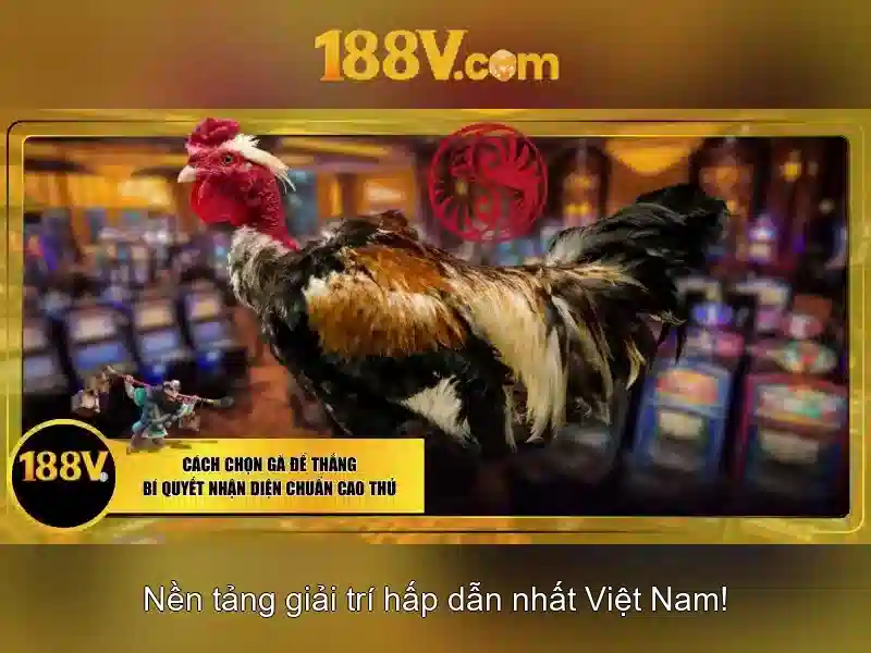 link 188v – Giới thiệu và Giá trị Cốt lõi