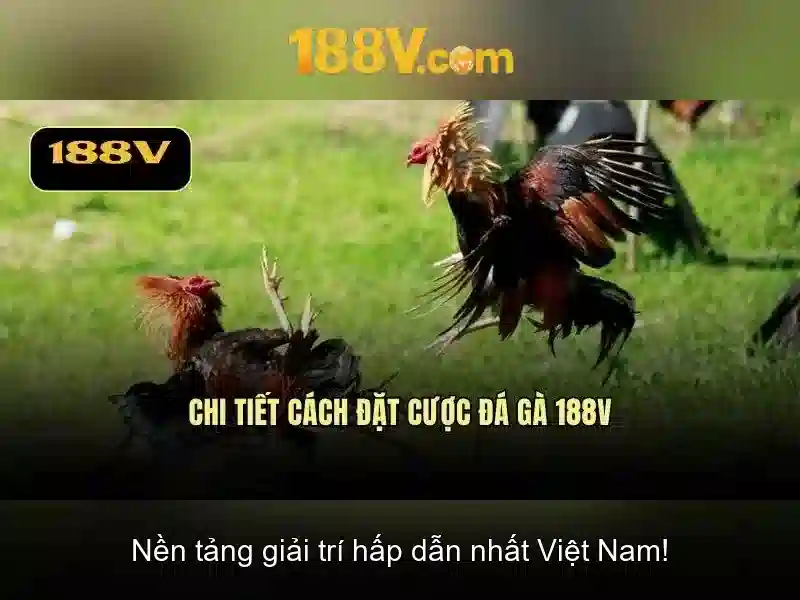 Khám phá khái niệm 188v