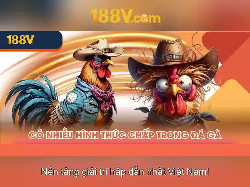 188v và hành trình khám phá dữ liệu