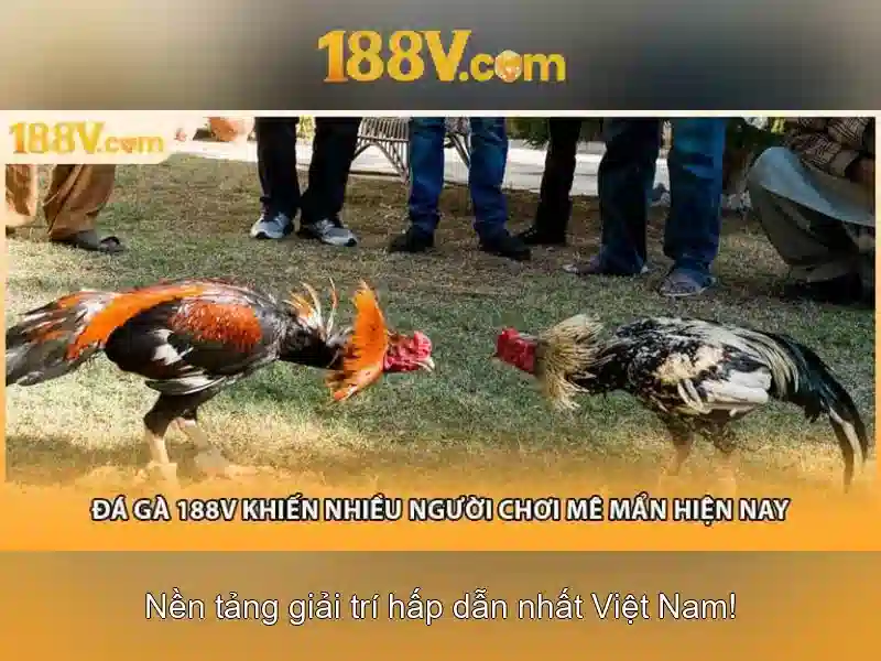 Ứng dụng và ví dụ thực tế