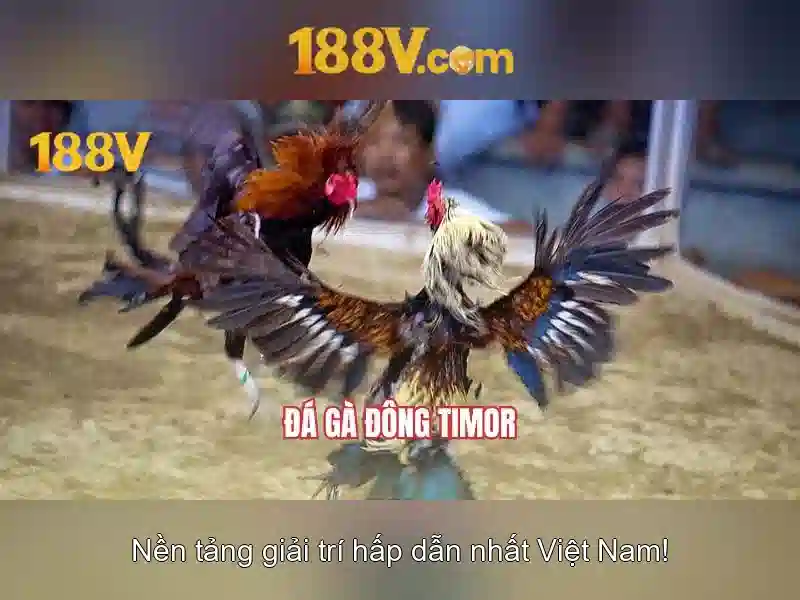 Nguồn gốc và lịch sử\n<h2><b>Ứng dụng trong công nghệ và đời sống</b></h2>\n<li style=