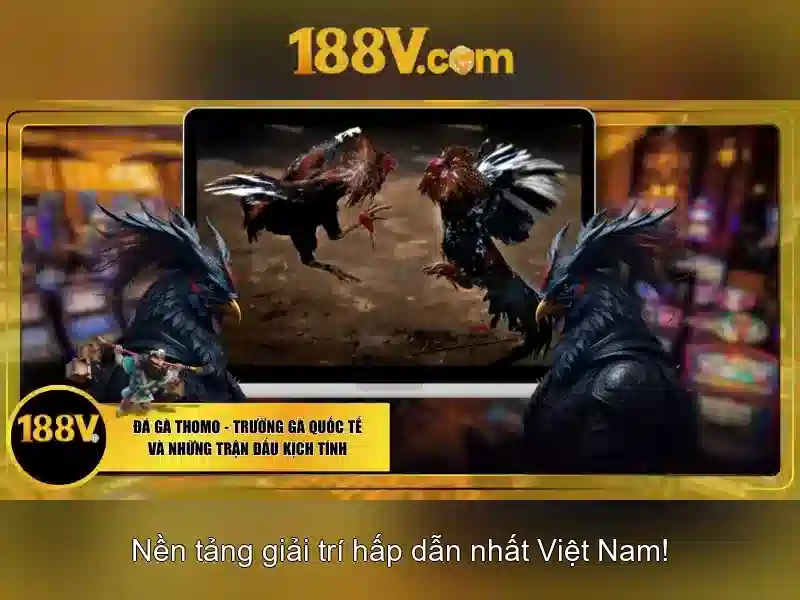 Khám phá 188v: khái niệm, ứng dụng và tương lai