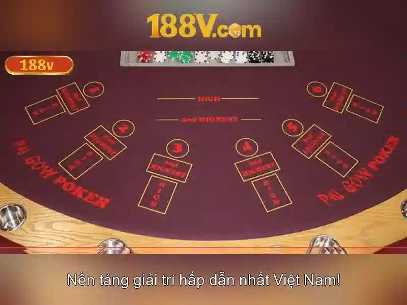 Trải nghiệm người dùng và phản hồi cộng đồng