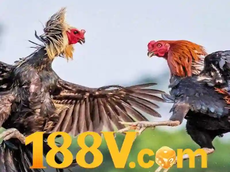 188v com – Giới thiệu sáng tạo