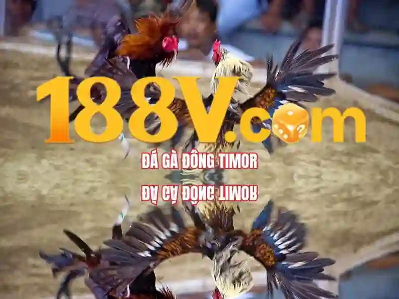 188v – Trải nghiệm số đỉnh cho nhà cái và cộng đồng người chơi